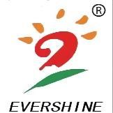 Shenzhen Evershine Steel Casting Co., Ltd. Logo