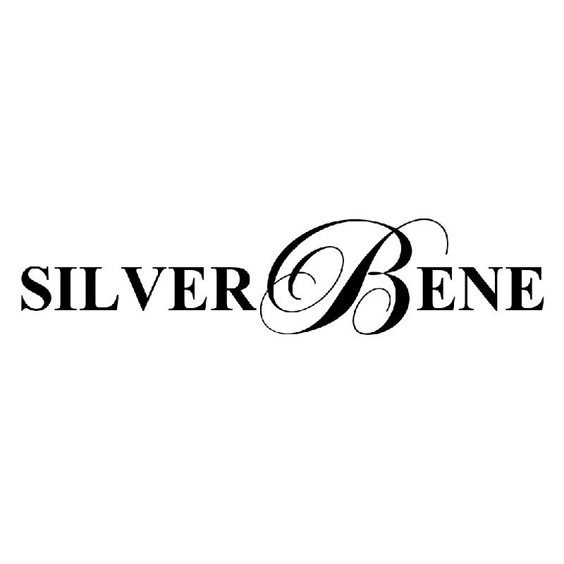 Guangzhou Shibao Jewelry Co., Ltd. Logo